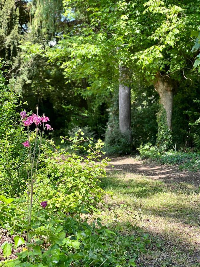 Les Jardins De L'Hermitage セレット エクステリア 写真